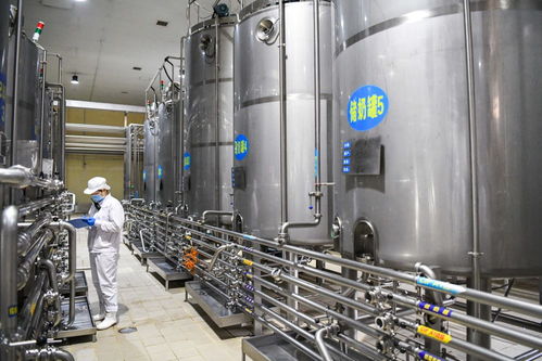 黑龙江全力保障乳制品市场供需平稳